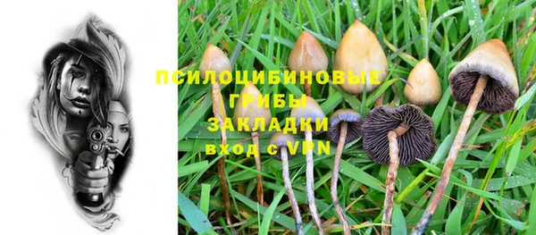 PSILOCYBIN Верея